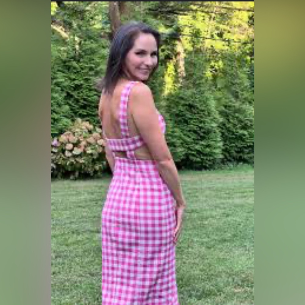 Finders Keeper Pink Gingham Sleeveless Dress